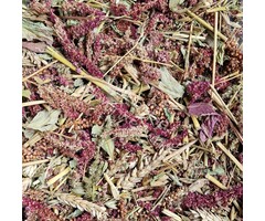 Whoopie Foerageer Plantjes mix