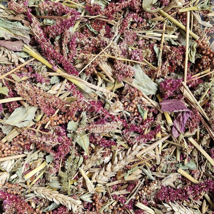 Whoopie Foerageer Plantjes mix