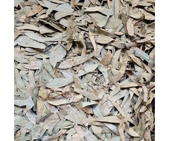 Whoopie Eucalyptus bladeren