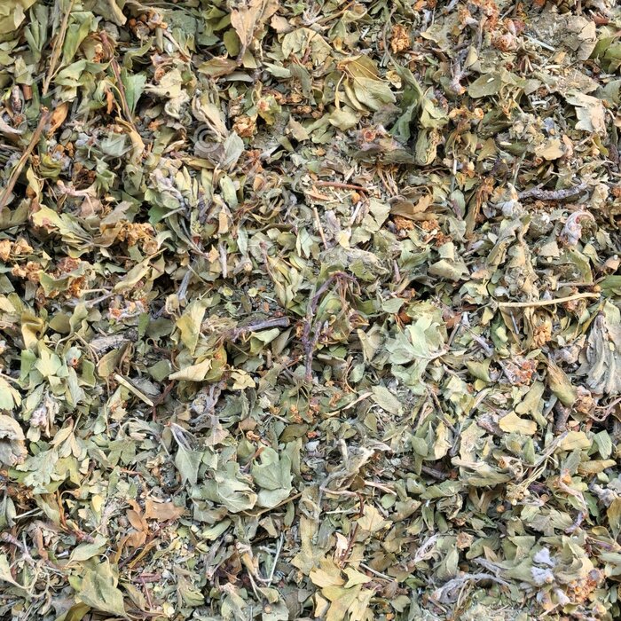 Whoopie Meidoorn bladeren en bloemen