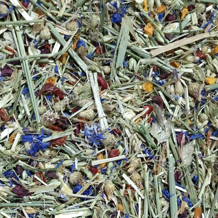 Whoopie Whoopie's Timothy Droom