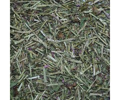 Whoopie Echinacea bladeren en steeltjes