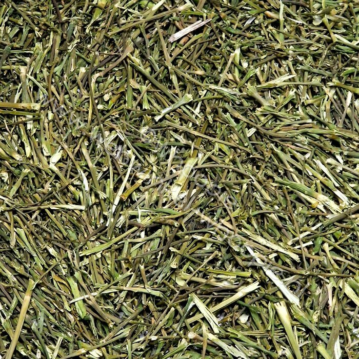 Whoopie Dille steeltjes