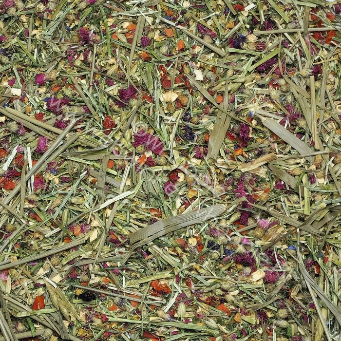 Whoopie Whoopie's Luzerne Droom