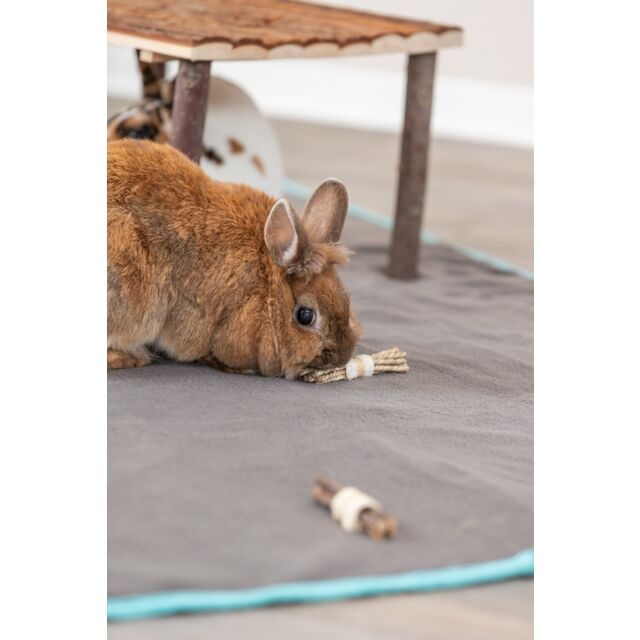 Trixie Knaagsticks met Luffa en Zeegras
