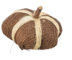 Trixie Kokosnoot speeltje Pompoen