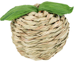 Trixie Grasbal appel Ø 7 cm