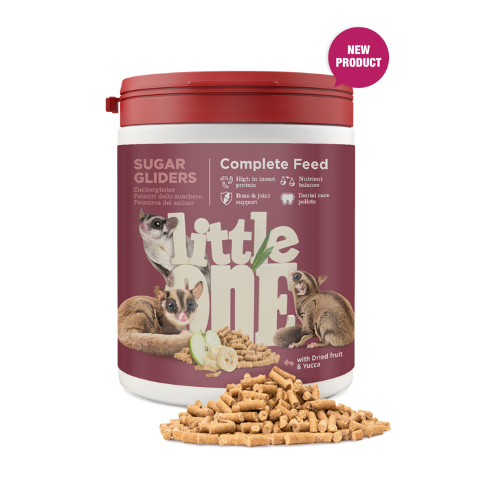 Mealberry Little One Sugar Gliders Compleet