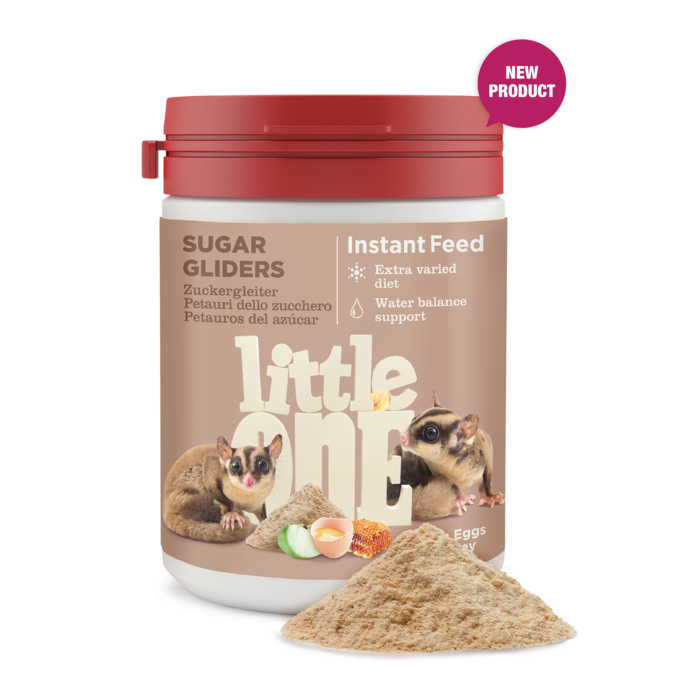 Mealberry Little One Sugar Gliders Instant