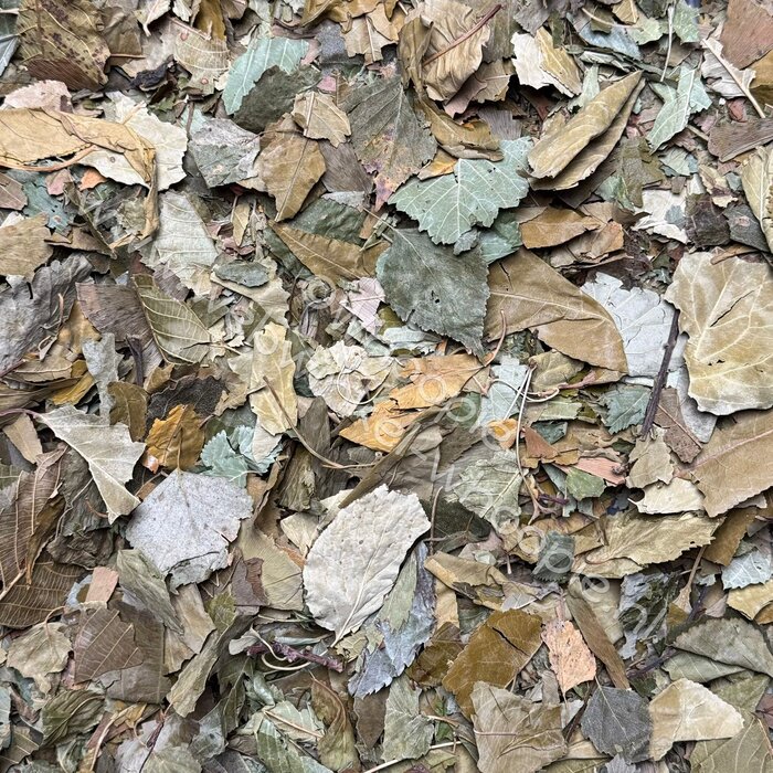 Whoopie Whoopie's Boombladerenmix