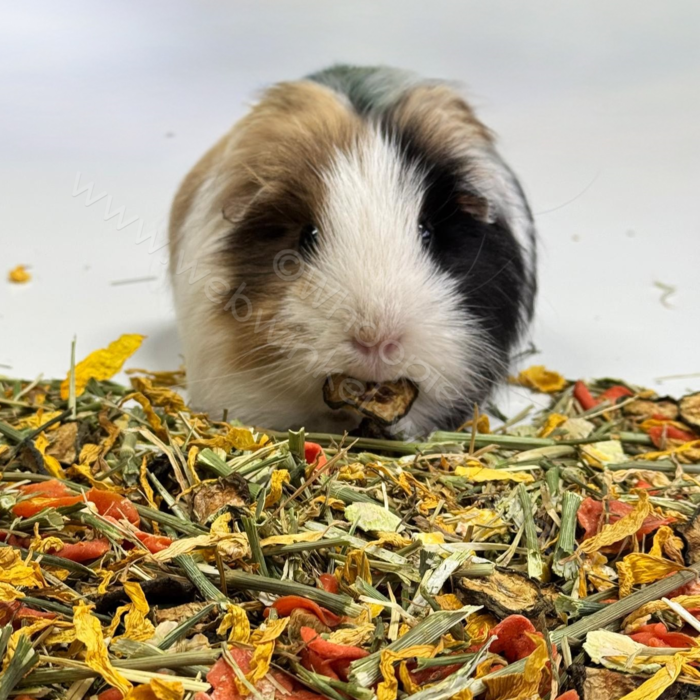 Whoopie Lexie's Tuintjesmix