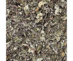 Whoopie Klein Hoefblad