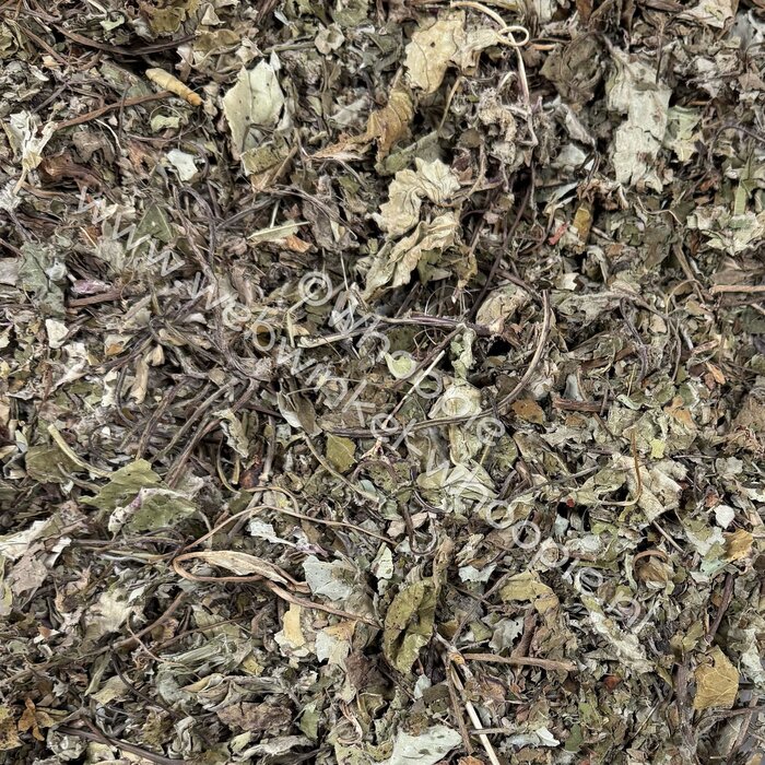 Whoopie Klein Hoefblad