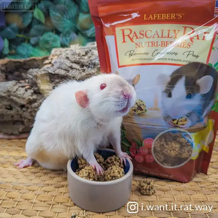 Lafeber Rascally Rat Nutri-Berries (THT 08-25)