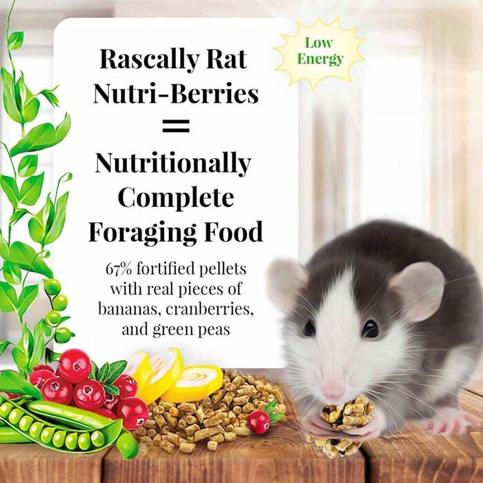 Lafeber Rascally Rat Nutri-Berries (THT 08-25)