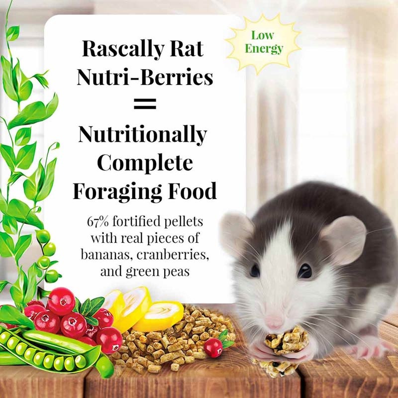 Lafeber Rascally Rat Nutri-Berries (THT 08-25)