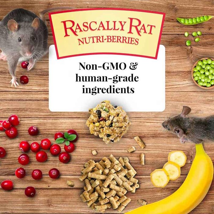 Lafeber Rascally Rat Nutri-Berries (THT 08-25)