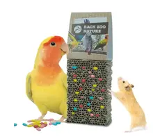Back Zoo Nature Cardboard Treat