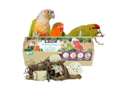 Back Zoo Nature Hexagon Foraging & Play Tunnel