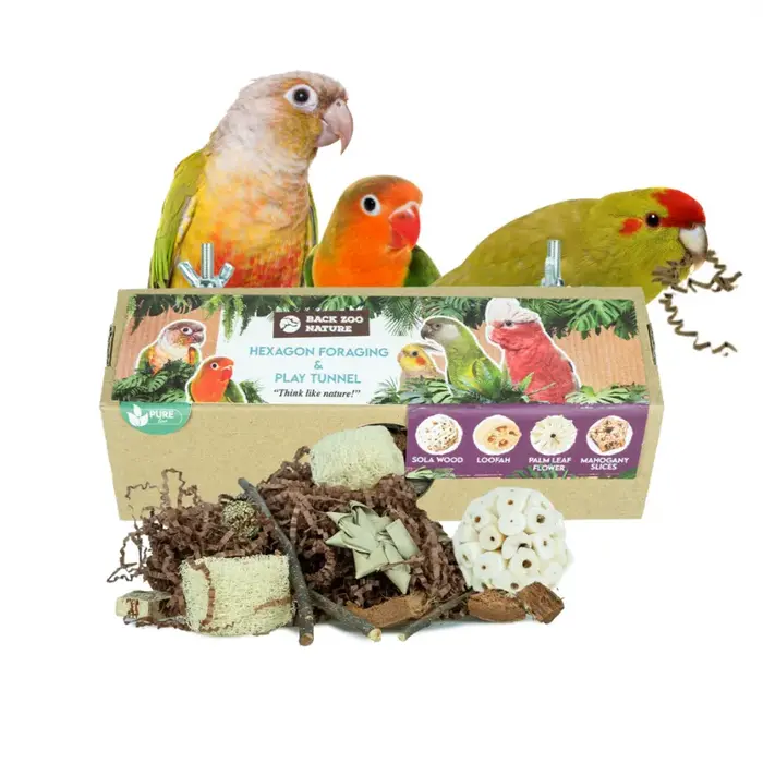 Back Zoo Nature Hexagon Foraging & Play Tunnel