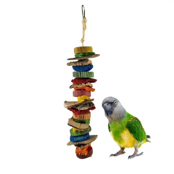 Back Zoo Nature Mixed Slices