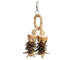 Back Zoo Nature Forest Ring