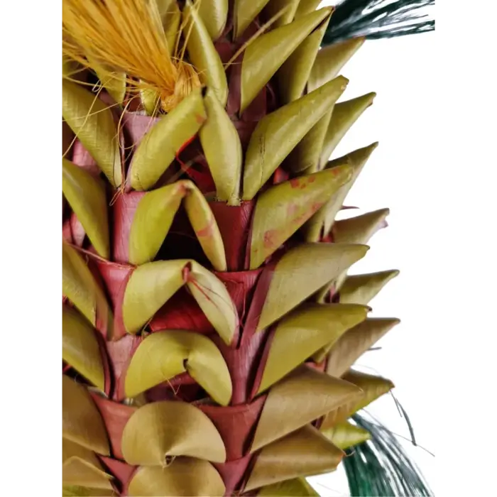 Back Zoo Nature Napa Pineapple Large