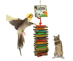 Back Zoo Nature Shredding Slices