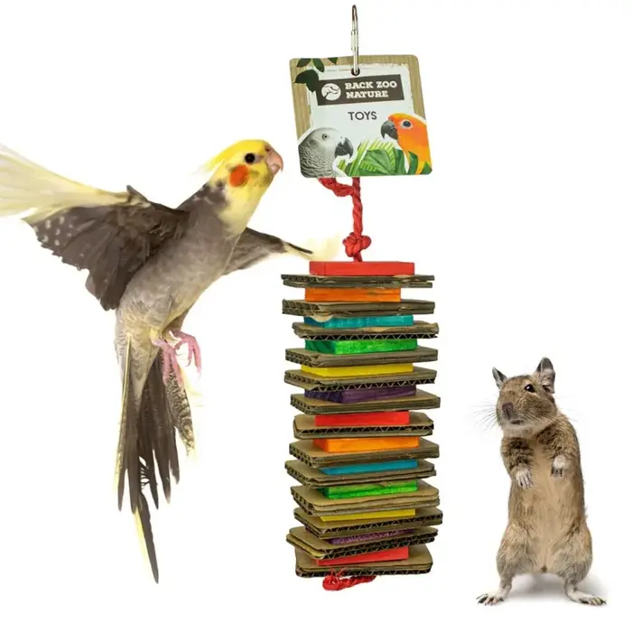 Back Zoo Nature Shredding Slices