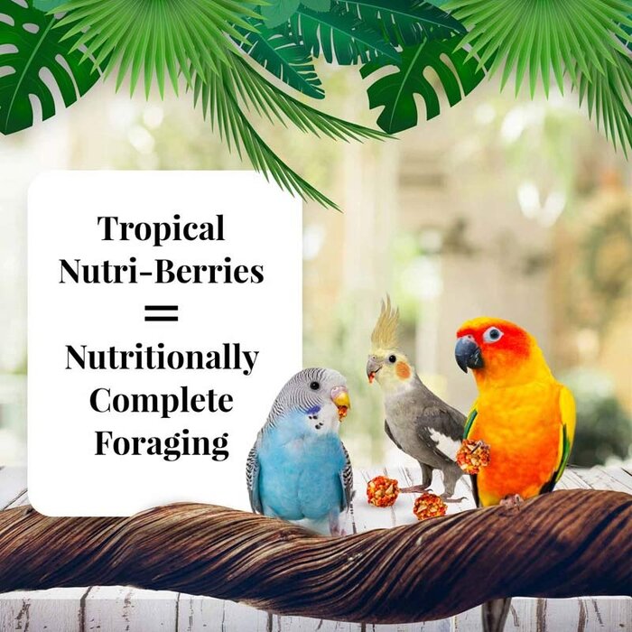 Lafeber Nutri-Berries Tropical Fruit Cockatiels / Valkparkieten