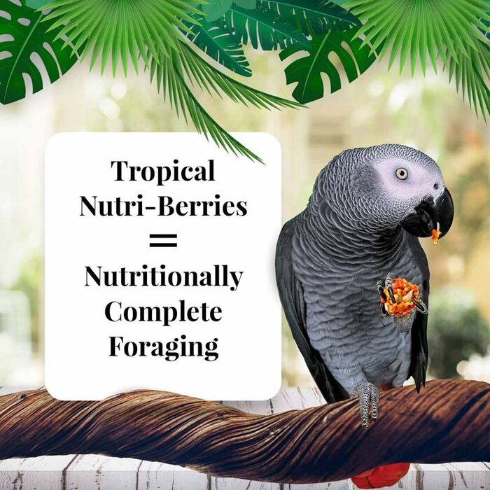 Lafeber Nutri-Berries Tropical Fruit Parrots / Papegaaien