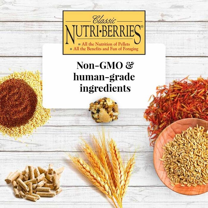 Lafeber Nutri-Berries Classic Parrots / Papegaaien