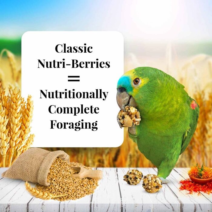 Lafeber Nutri-Berries Classic Parrots / Papegaaien