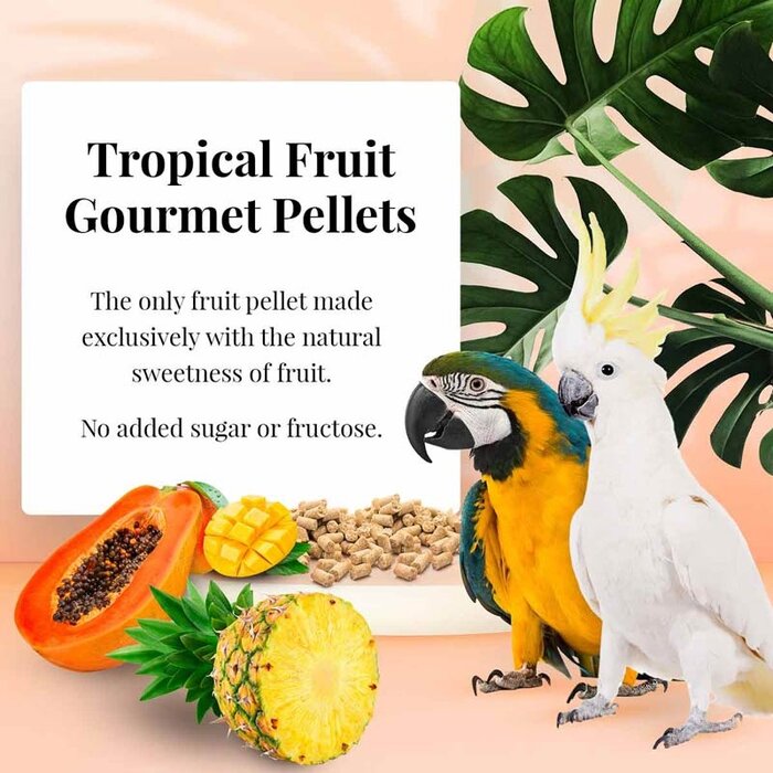 Lafeber Tropical Fruit Gourmet Pellets Macaw / Ara's