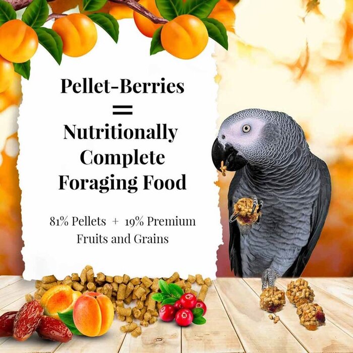 Lafeber Sunny Orchard Pellet-Berries Parrots / Papegaaien