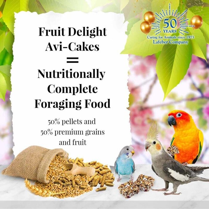 Lafeber Fruit Delight Avi-Cakes (Grote) Parkieten