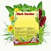 Lucky Reptile Herb Garden 'Wild Herb Mixture'