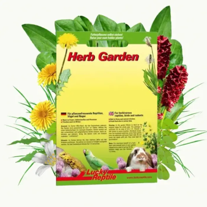 Herb Garden 'Wild Herb Mixture'