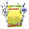 Lucky Reptile Herb Garden 'Wilde cichorei' (Common Chicory)