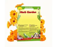 Lucky Reptile Herb Garden 'Goudsbloem' (Calendula)