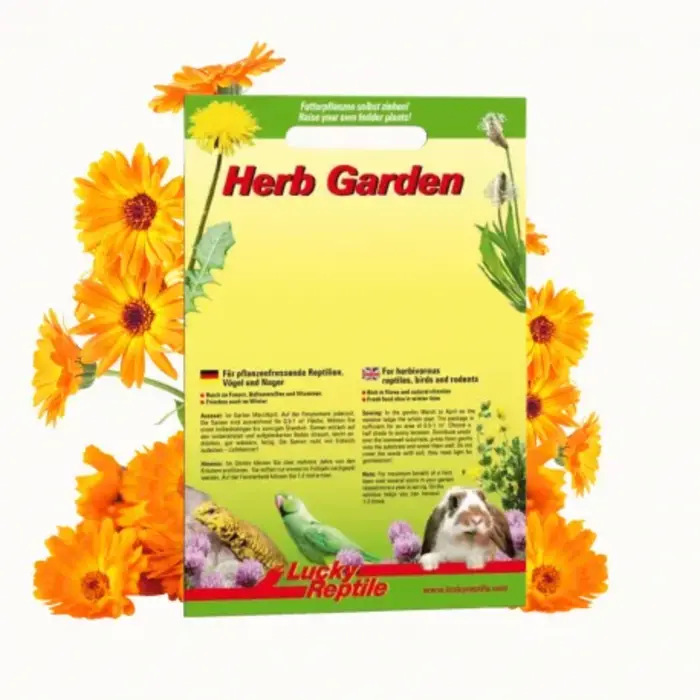 Herb Garden 'Goudsbloem' (Calendula)