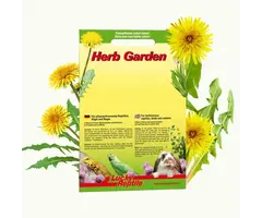 Herb Garden 'Paardenbloem' (Dandelion)