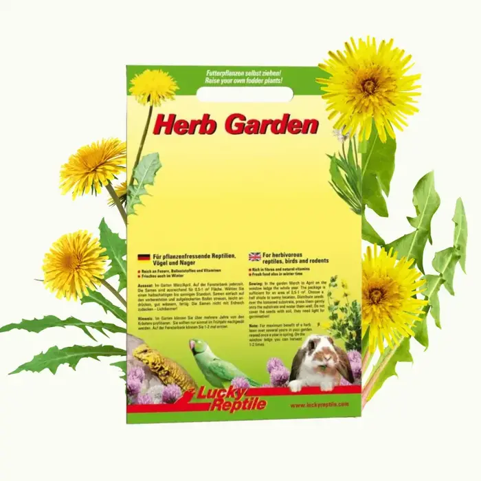Herb Garden 'Paardenbloem' (Dandelion)