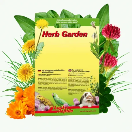 Lucky Reptile Herb Garden 'Autumn Mix'