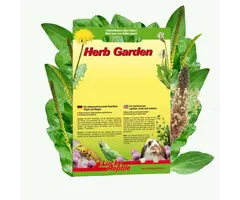 Herb Garden 'Smalle Weegbree' (Ribwort)