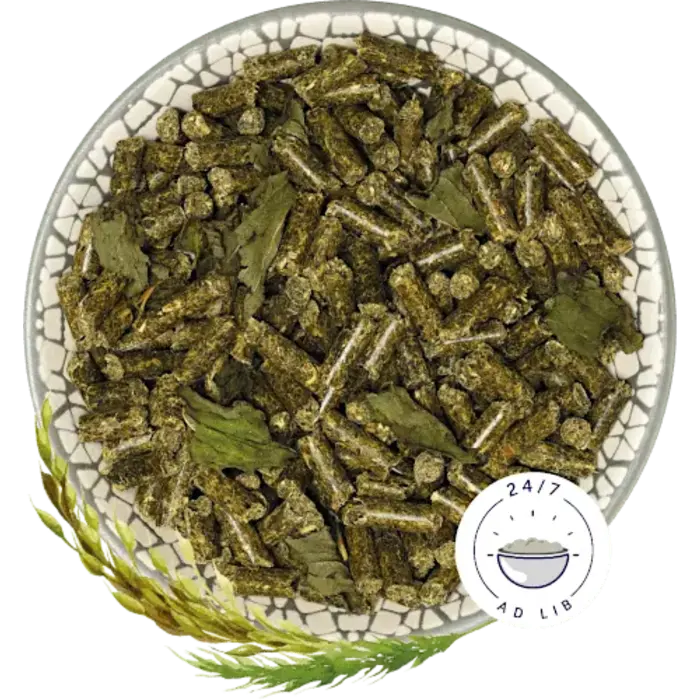 Bunny Nature CaviaDroom Basic