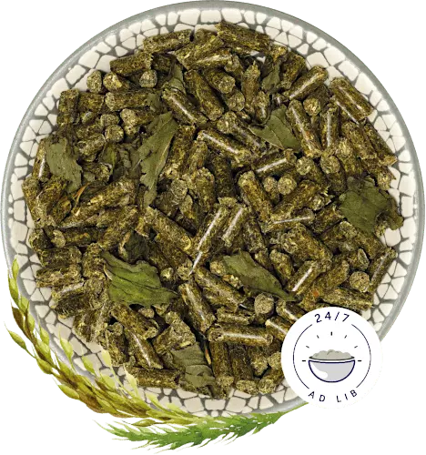 Bunny Nature CaviaDroom Basic
