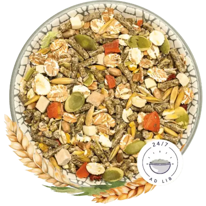 Bunny Nature RattenDroom Basic