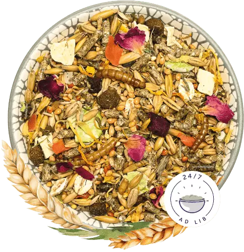 Bunny Nature DwerghamsterDroom Basic