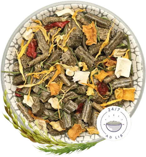 Bunny Nature KonijnenDroom Vegetables